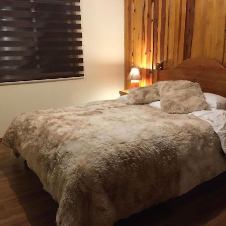 Ruka Pucon Hostel מראה חיצוני תמונה