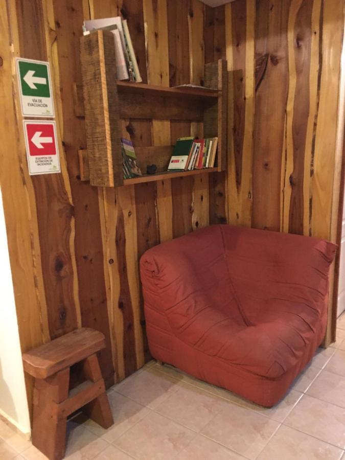 Ruka Pucon Hostel מראה חיצוני תמונה