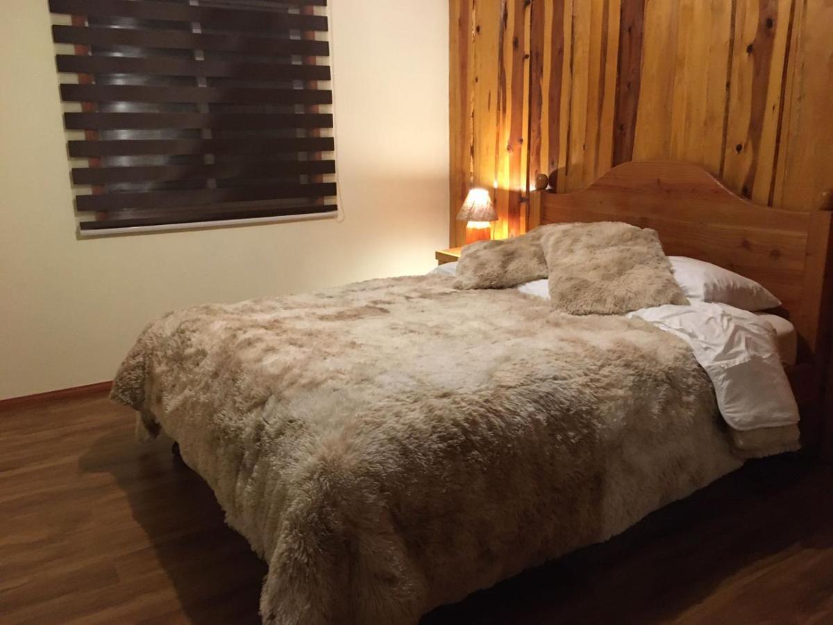 Ruka Pucon Hostel מראה חיצוני תמונה